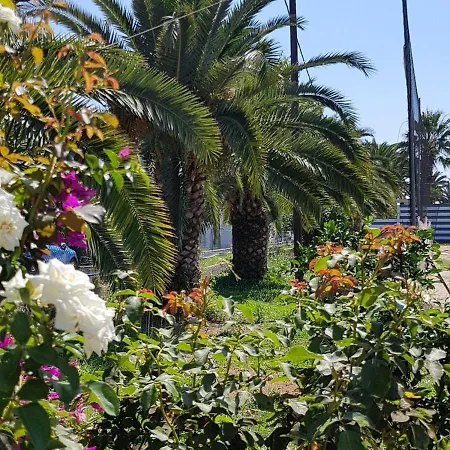 Malibu Summer דאסיה
